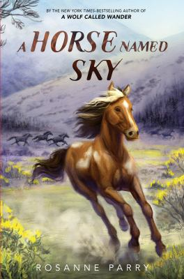 A Horse Named Sky / by Parry, Rosanne