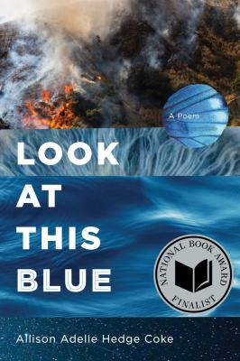 Look At This Blue : by Hedge Coke, Allison Adelle