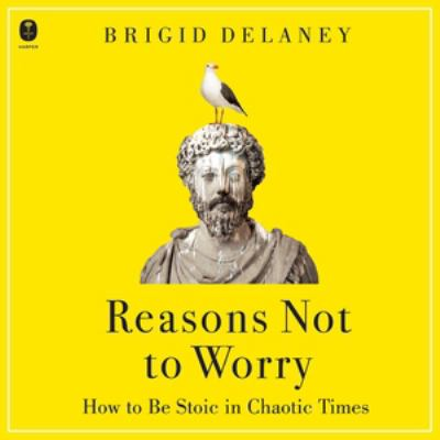 Reasons Not to Worry : by Delaney, Brigid